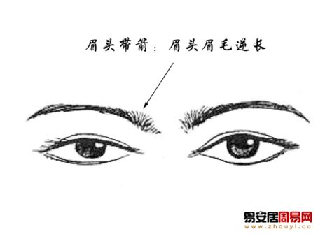 眉頭帶箭|面相學眉毛代表什麼？常見的幾種眉形詳解